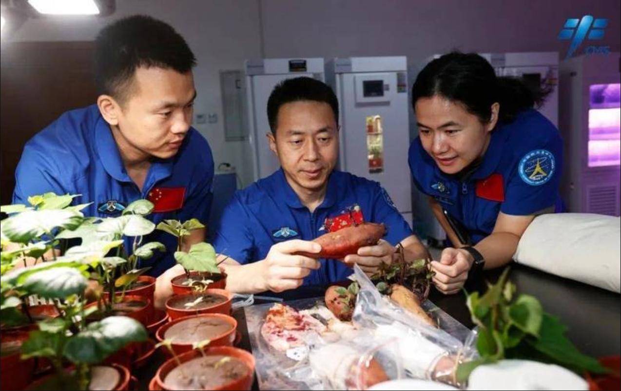 十九航天员身体就发生了变化这是怎么回事？j9九游会俱乐部登录入口才上去半个月神(图16)