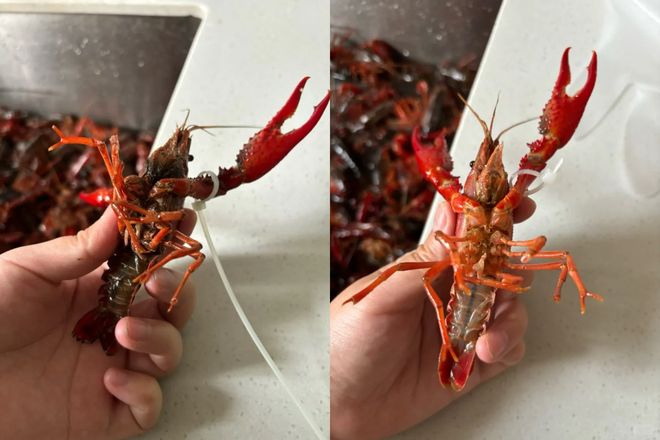 没花一分钱解决了烦过日子都能用得上j9九游会登录10个“生活小技巧”(图7)